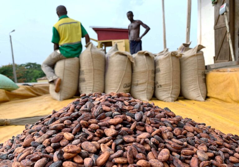Traders face $1 bln loss on faltering Ghana cocoa supply traders-face-$1-bln-loss-on-faltering-ghana-cocoa-supply