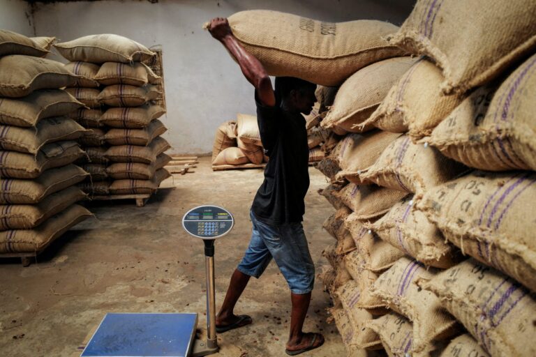 Ghana to delay more cocoa deliveries as supply crisis worsens ghana-to-delay-more-cocoa-deliveries-as-supply-crisis-worsens